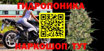 дурь Севастополь