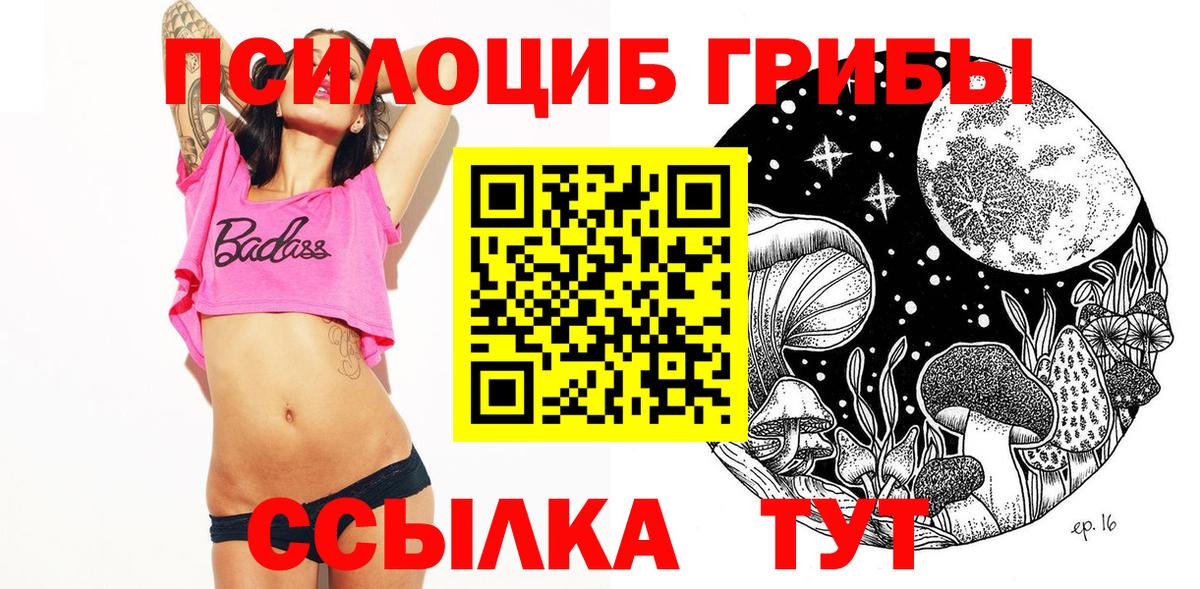 Галлюциногенные грибы прущие грибы  Вход с VPN  Прохладный 