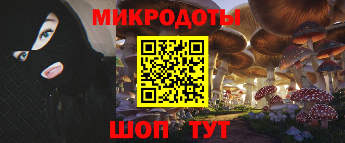 Галлюциногенные грибы Psilocybine cubensis Прохладный